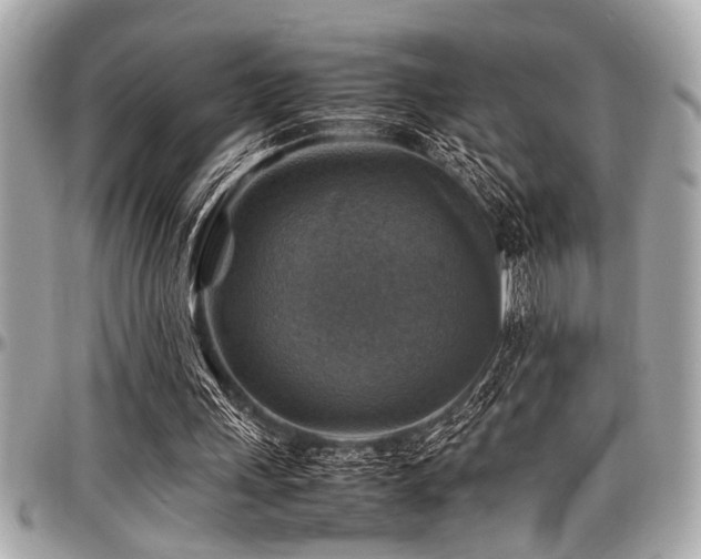 X0000098000243200803241348