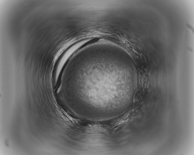 X0000098000244200803241348
