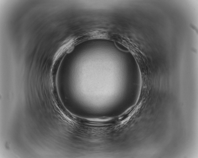 X0000098000245200803241348