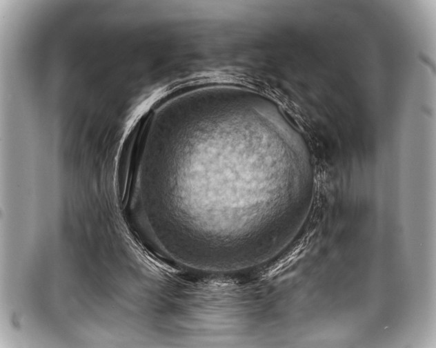 X0000098000248200803241348