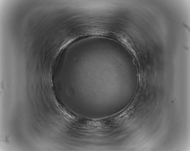 X0000098000249200803241348