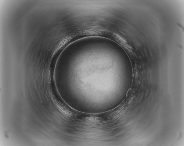 X0000098000250200803241348