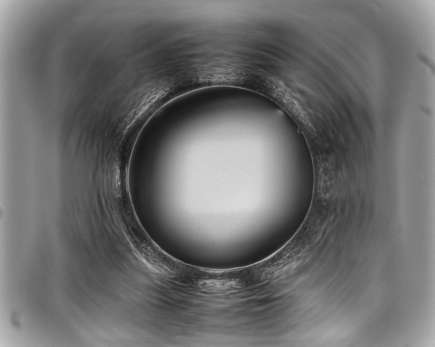 X0000098000251200803241348