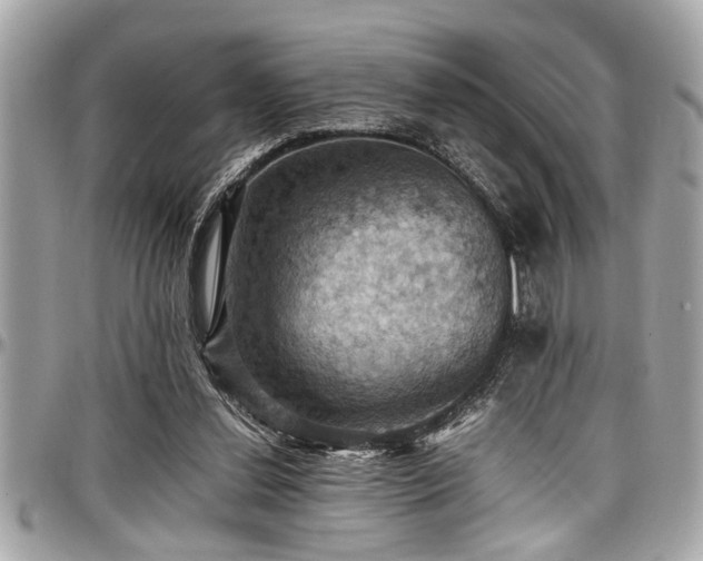 X0000098000252200803241348