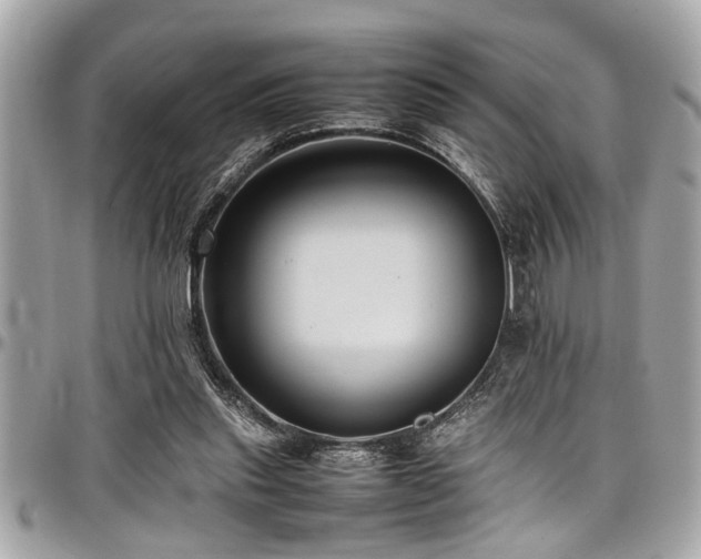 X0000098000253200803241348