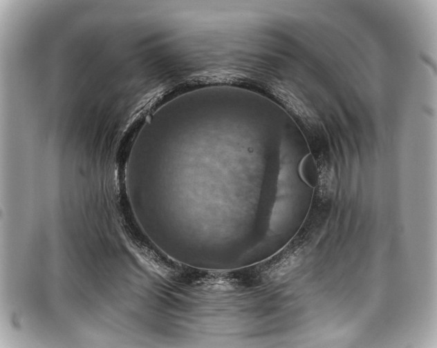 X0000098000254200803241348