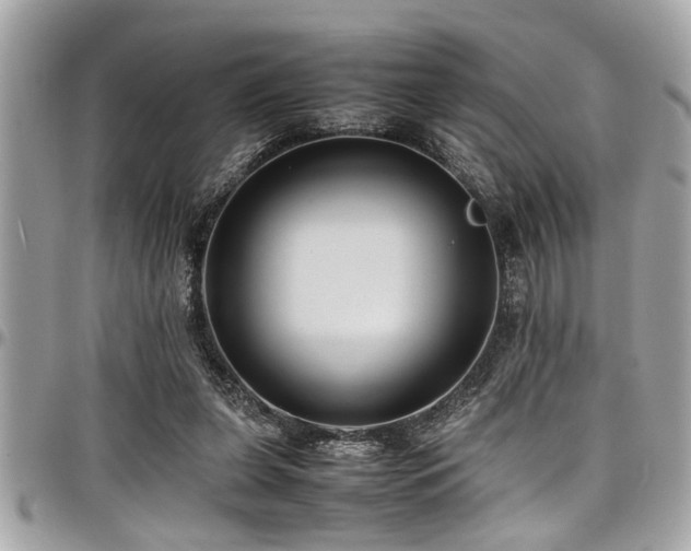X0000098000255200803241348