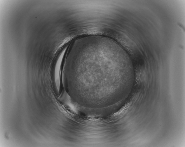X0000098000256200803241348