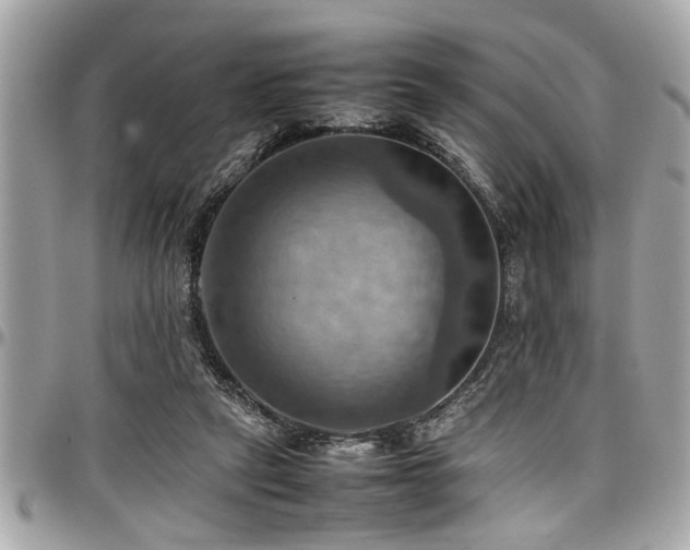X0000098000257200803241348