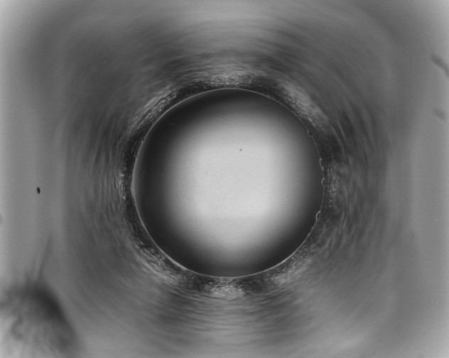 X0000098000258200803241348