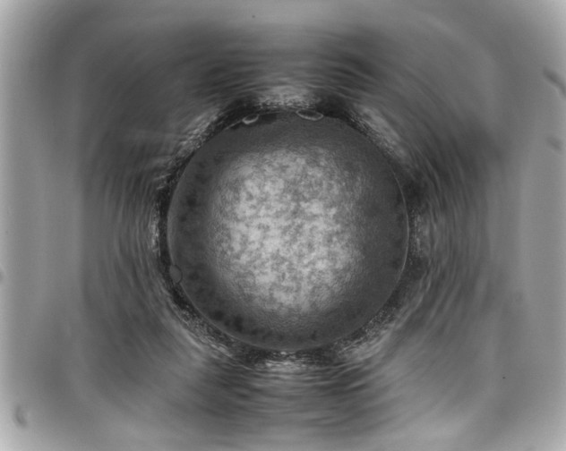 X0000098000259200803241348