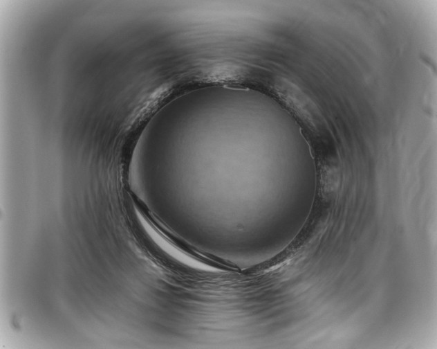 X0000098000260200803241348