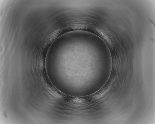 X0000098000261200803241348