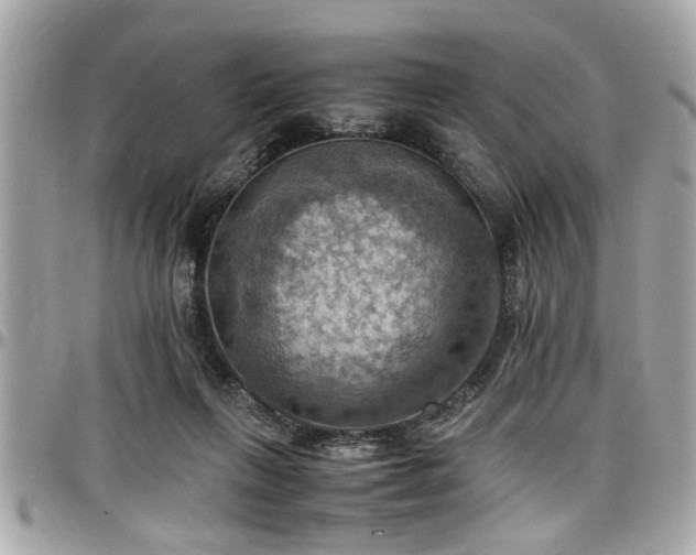 X0000098000263200803241348