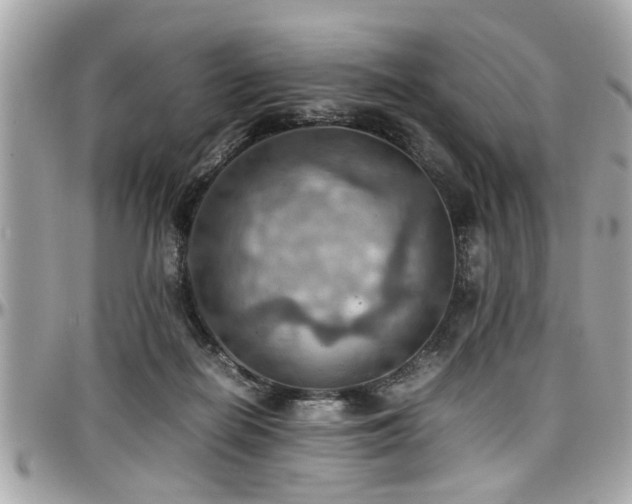 X0000098000266200803241348