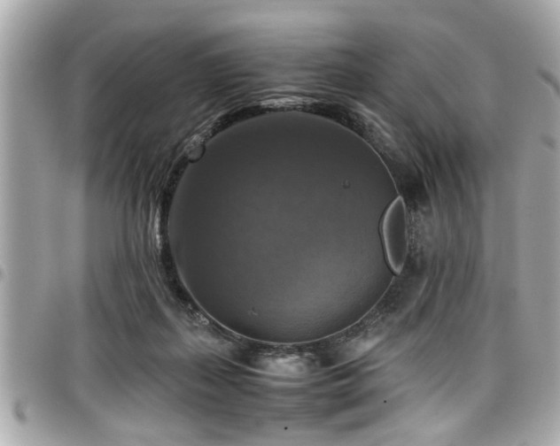 X0000098000267200803241348