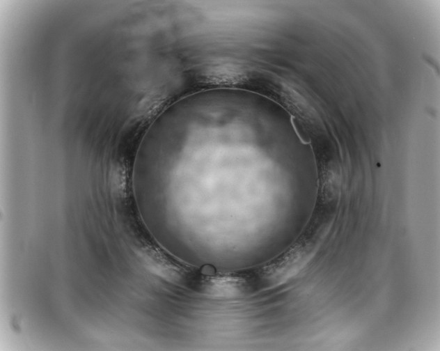 X0000098000268200803241348