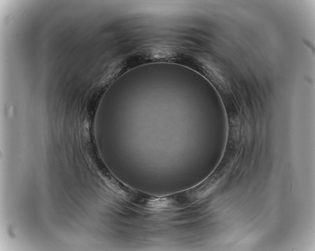 X0000098000269200803241348