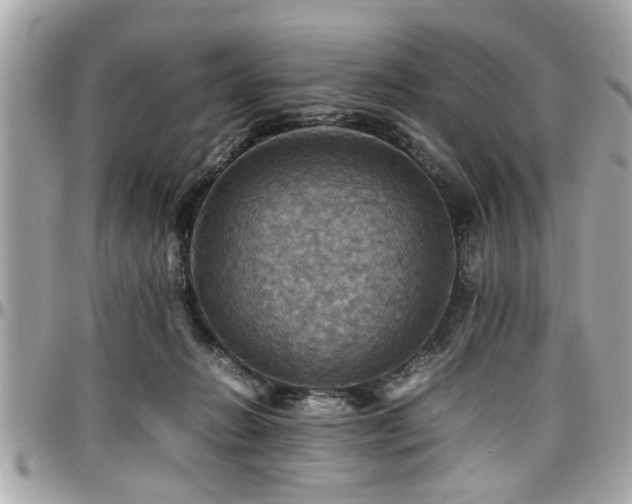 X0000098000270200803241348