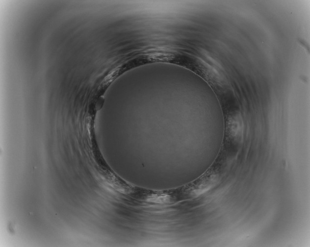 X0000098000271200803241348