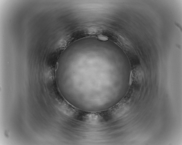 X0000098000272200803241348