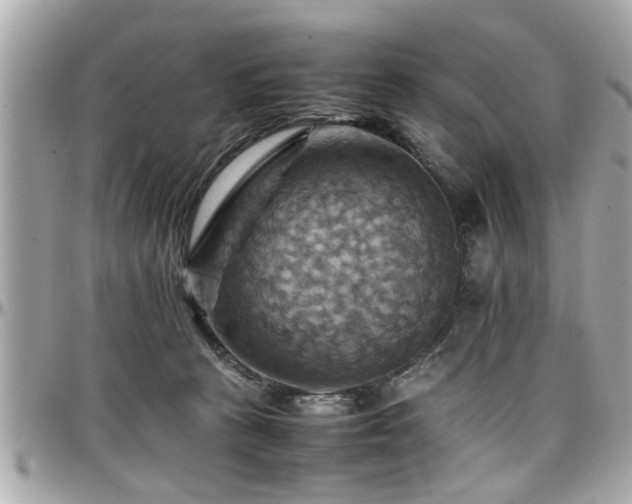 X0000098000273200803241348