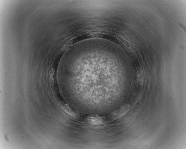 X0000098000275200803241348