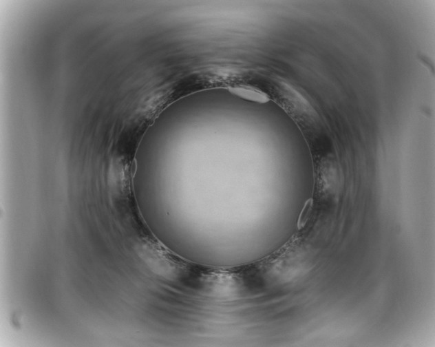 X0000098000276200803241348