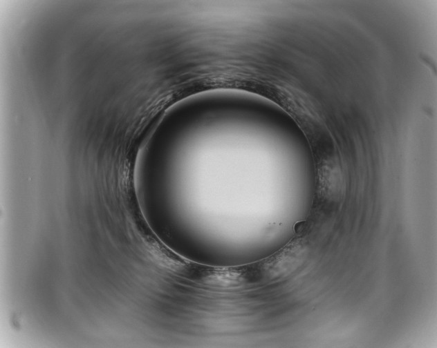 X0000098000278200803241348