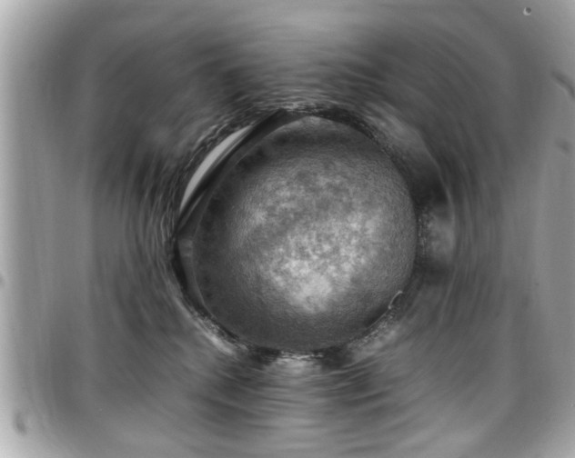 X0000098000280200803241349