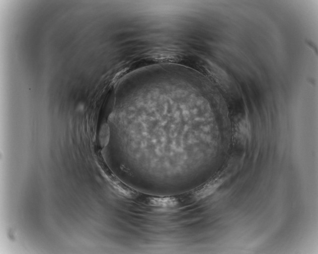 X0000098000281200803241349