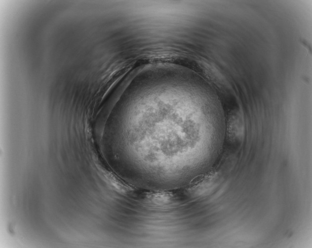 X0000098000282200803241349