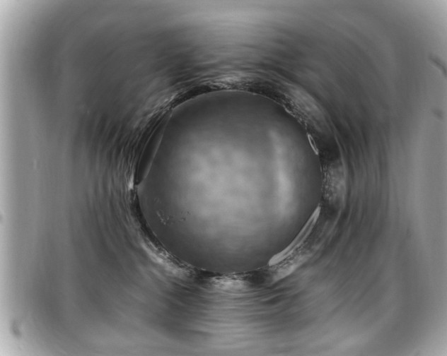 X0000098000284200803241349