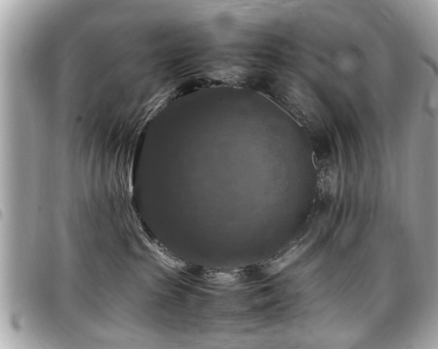 X0000098000285200803241349