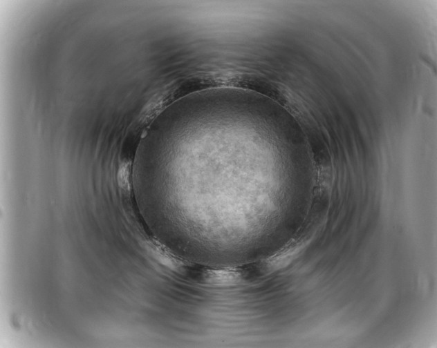 X0000098000286200803241349