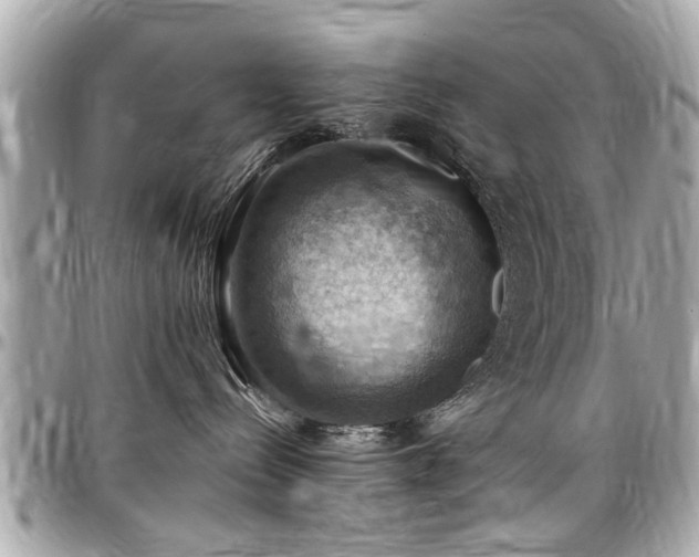 X0000098000288200803241349