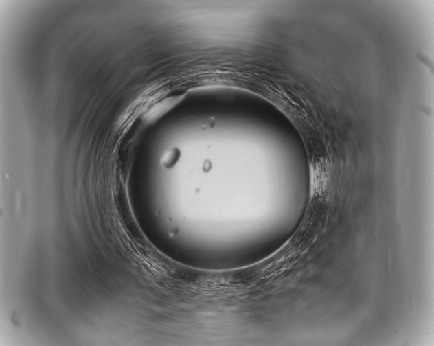 X0000098000291200803241348