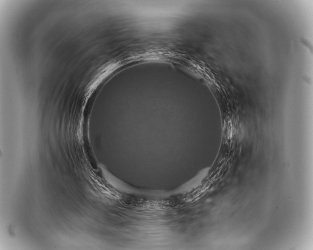 X0000098000292200803241348