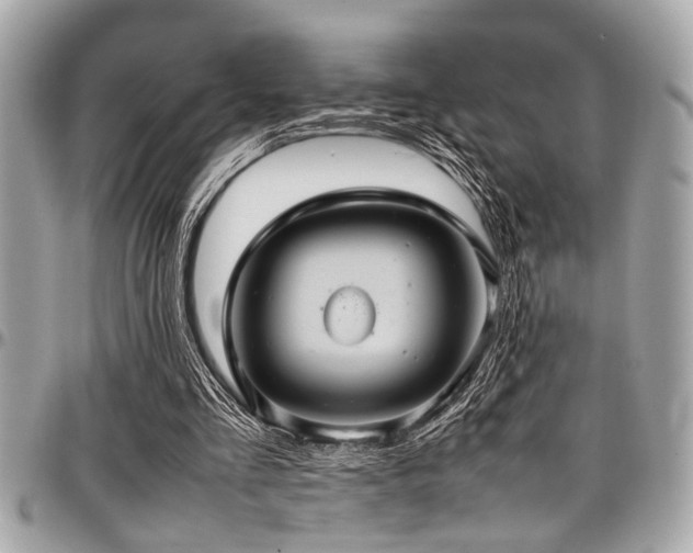 X0000098000293200803241348
