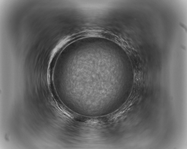 X0000098000294200803241348