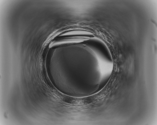 X0000098000295200803241348