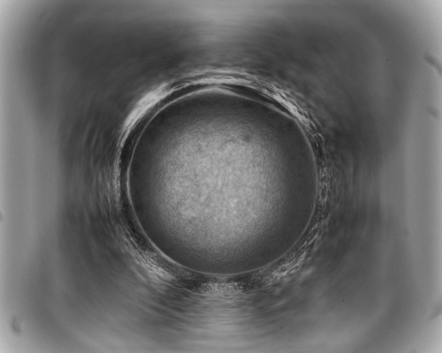 X0000098000296200803241348