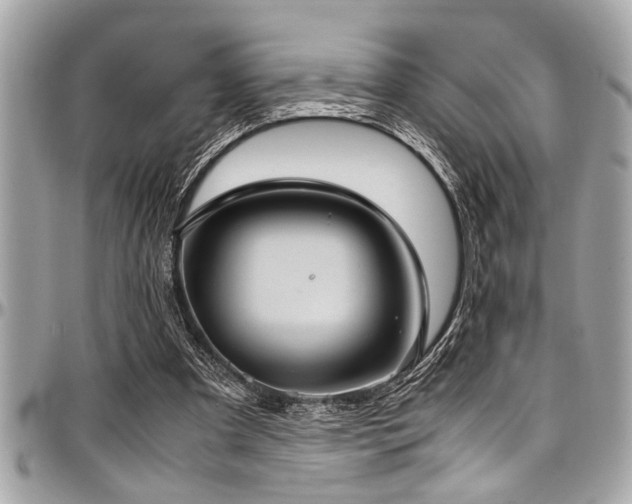 X0000098000297200803241348