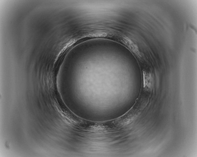 X0000098000300200803241348