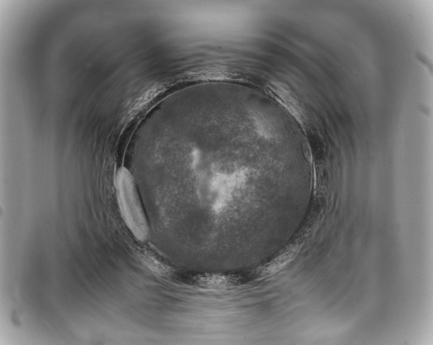 X0000098000301200803241348