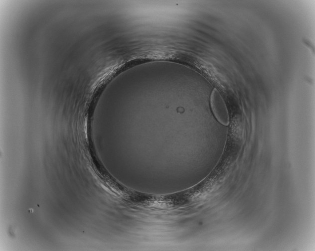 X0000098000303200803241348