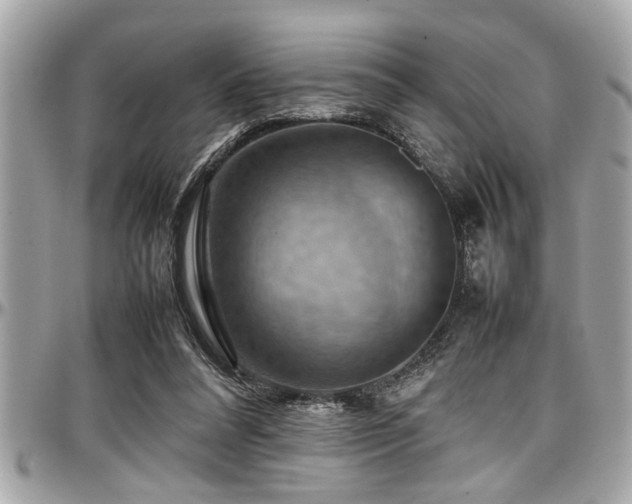 X0000098000304200803241348
