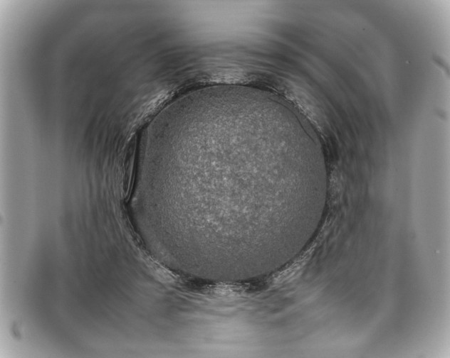 X0000098000305200803241348