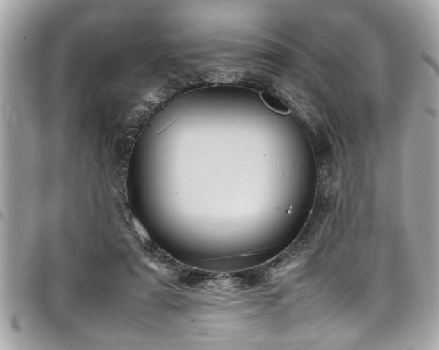 X0000098000307200803241348
