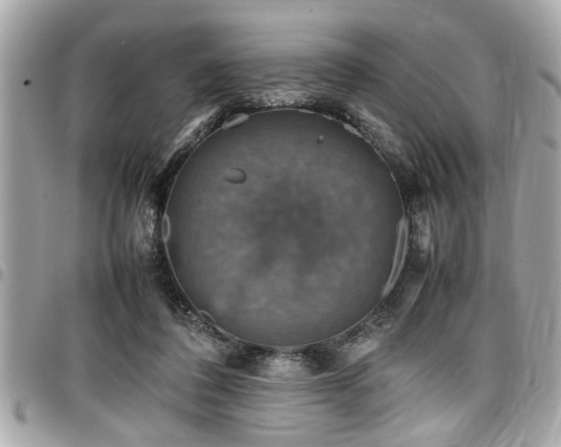 X0000098000308200803241348